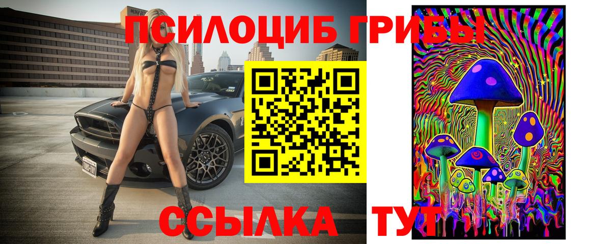 Псилоцибиновые грибы мухоморы Советск