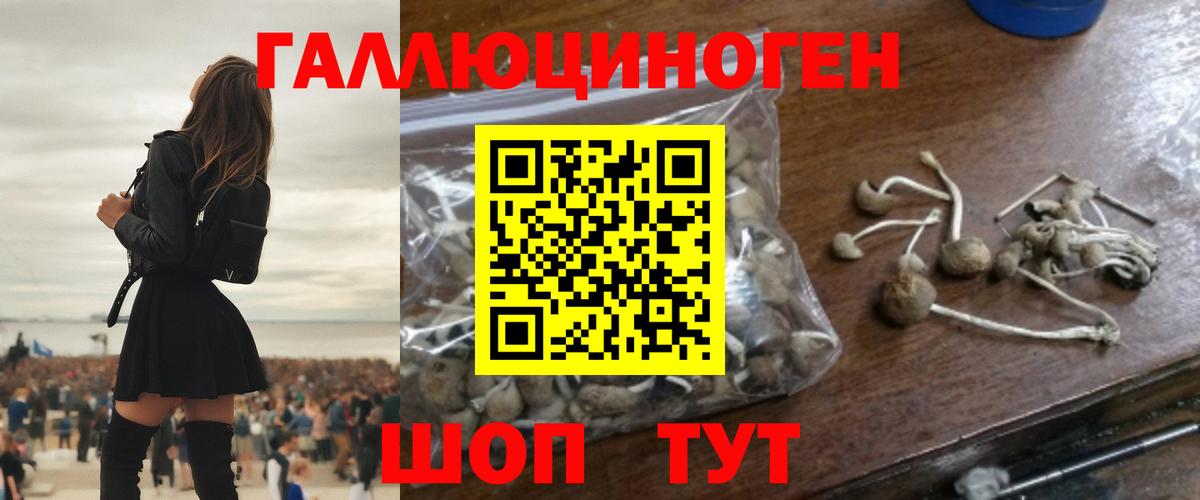 Псилоцибиновые грибы GOLDEN TEACHER  Галлюциногенные грибы мухоморы  Советск  Вход с VPN 